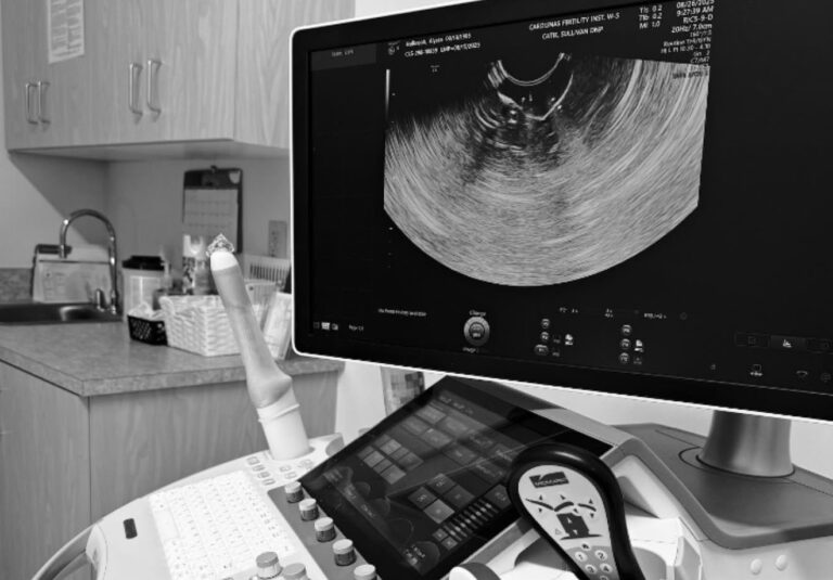 Gay Canadian Couple Sues Surrogate Mother For Refusing To Abort Baby, Causing ‘Emotional Distress’