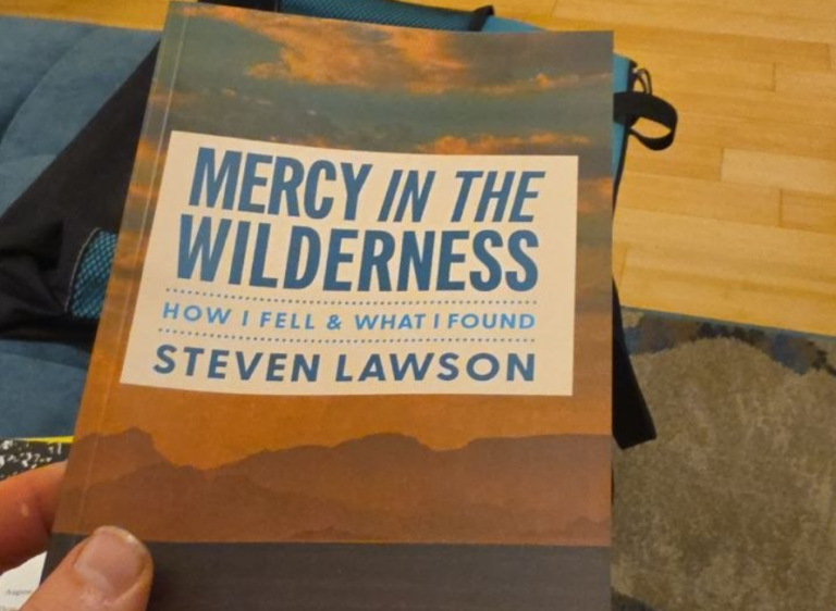 Mercy in the Wilderness: A Public Testimony That Says Too Little